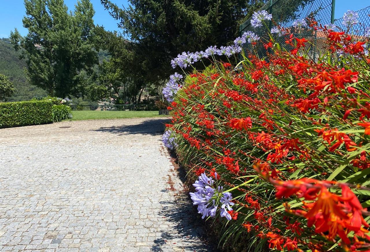 Quinta Da Porta Caseira Resende Εξωτερικό φωτογραφία